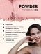 Пудра для обличчя PW-02 - PORCELAIN PW-01 фото 3